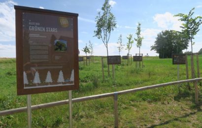 Nachhaltige Projektideen im Landkreis Amberg-Sulzbach gesucht – Bis zu 1000 Euro-Förderungen warten