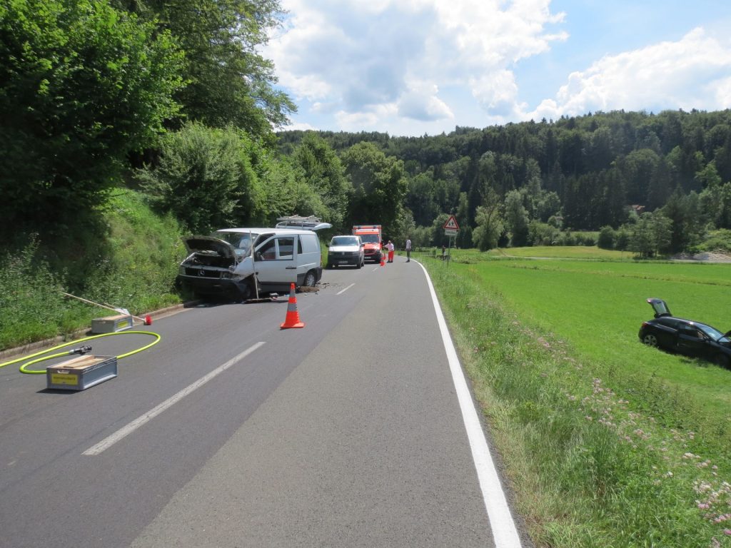 Das Ergebnis einer Hummelattacke im Fahrzeug Foto: Polizei