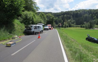 Autofahrerin wird von Hummel attackiert – Frontalzusammenstoß mit dem Gegenverkehr war die Folge