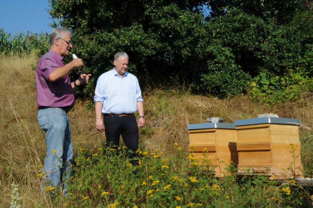 Barrierefrei imkern: Bildung, Inklusion, Umwelt. Gleich drei der insgesamt fünf Handlungsfelder des Leitbilds deckt der barrierefreie Bienenlehrstand des Bienenzuchtvereins Sulzbach-Rosenberg ab. Landrat Richard Reisinger war voll des Lobes für diese Idee und das Engagement des Vereinsvorsitzenden Helmut Heuberger. Foto: Christine Hollederer