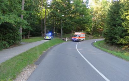 Mopedfahrer stürzte am Weinberg in Schwandorf