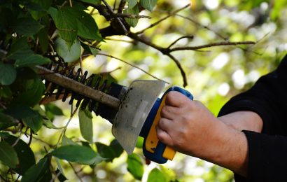 Hecke in Schwandorf zugeschnitten