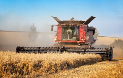 Steine und Teile eines Kinderwagens auf Feld unerlaubt entsorgt