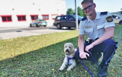 Hund aus völlig überhitztem Fahrzeug in Amberg befreit