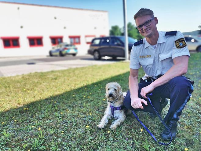 "Teddy" musste von der Polizei aus dem heißen Auto befreit werden Foto: Polizei Amberg