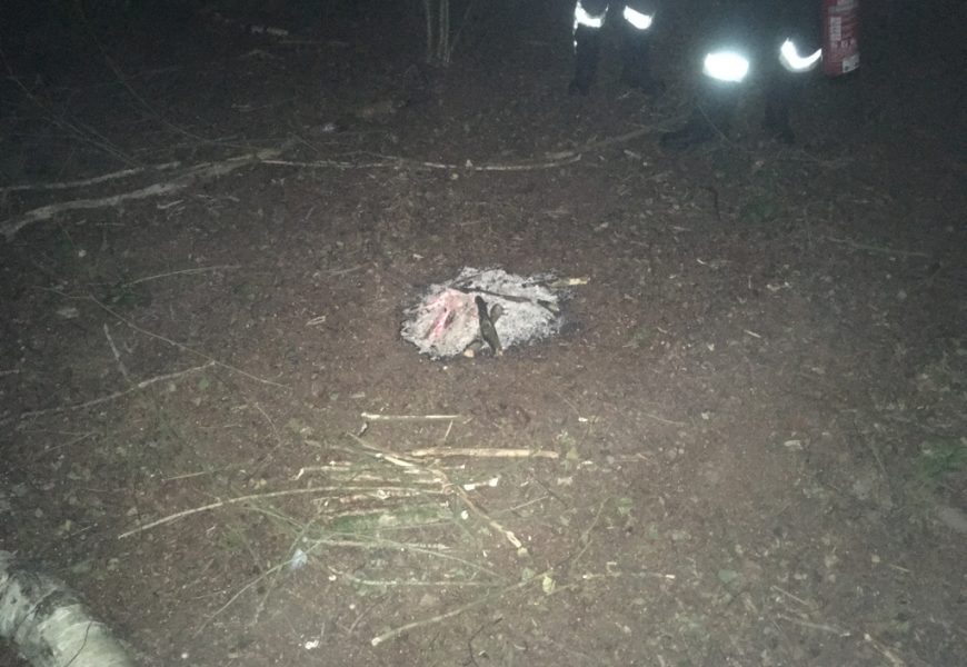 Absoluter Wahnsinn – Lagerfeuer mitten im Wald bei Kaimling entdeckt