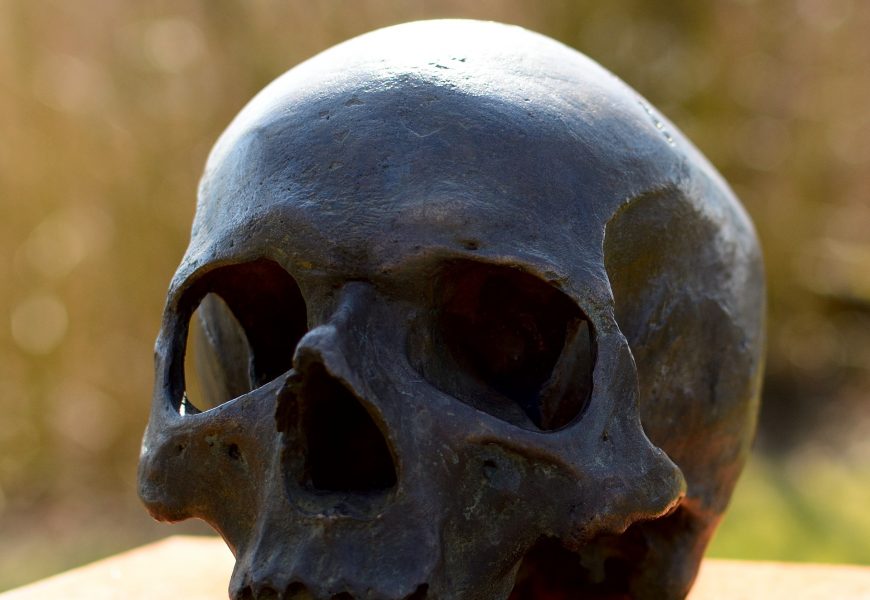 Schädelknochen in Bad Neualbenreuth aufgefunden – Person identifiziert