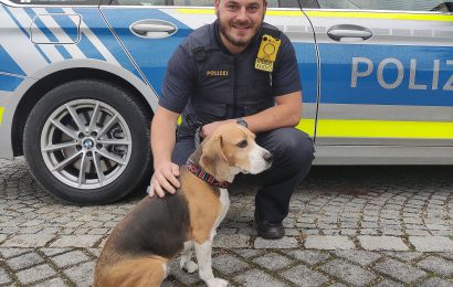 Entlaufenem Hund in Amberg schmeckt Hamburger