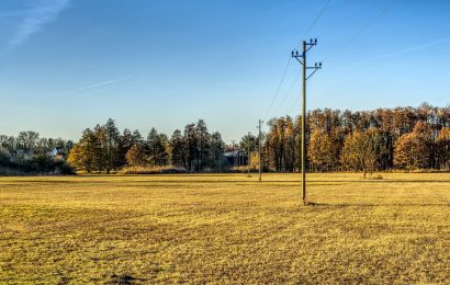 Baum fällt bei Charlottenhof auf Stromleitung