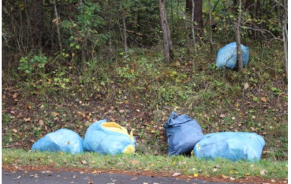 Illegale Müllentsorgung bei Auerbach Foto: Polizei