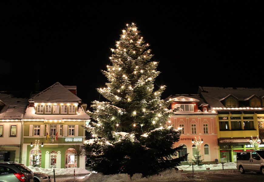 Gemeinde Kümmersbruck sucht Christbäume