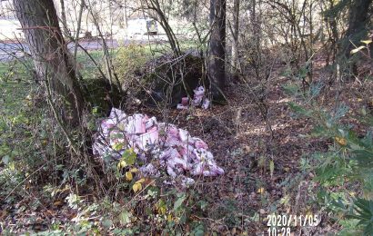 Ungewöhnlicher Fund am „Galgenkatherl“ in Windischeschenbach