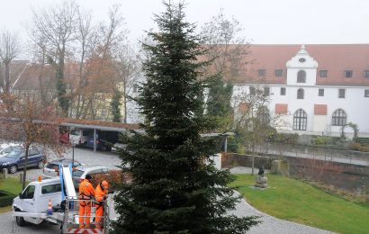 Zwei Christbäume schmücken den Innenhof und den Balkon des Landratsamtes Amberg-Sulzbach