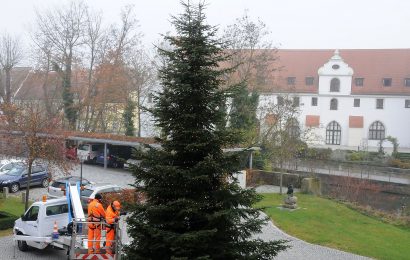 Markus Schwab und Thomas Scharl vom Kreisbauhof Gailoh behängen die Tanne mit einer 300 Meter langen Lichterkette. Landrat Richard Reisinger wünscht schon jetzt allen Landkreisbewohnern „eine besinnliche Adventszeit“. Foto: Martina Beierl