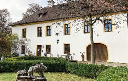 Forstlicher Weihnachtsbasar muss leider abgesagt werden – Stattdessen Wild- und Christbaumverkauf auf dem Amberger Mariahilfberg