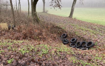 Erneut Altreifen abgelagert