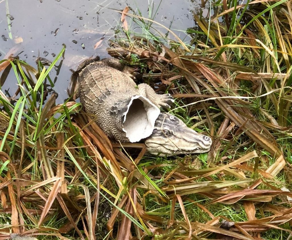 Die „Pruppacher Everglades“ sind seitdem wieder gefahrlos begehbar Foto: Polizei