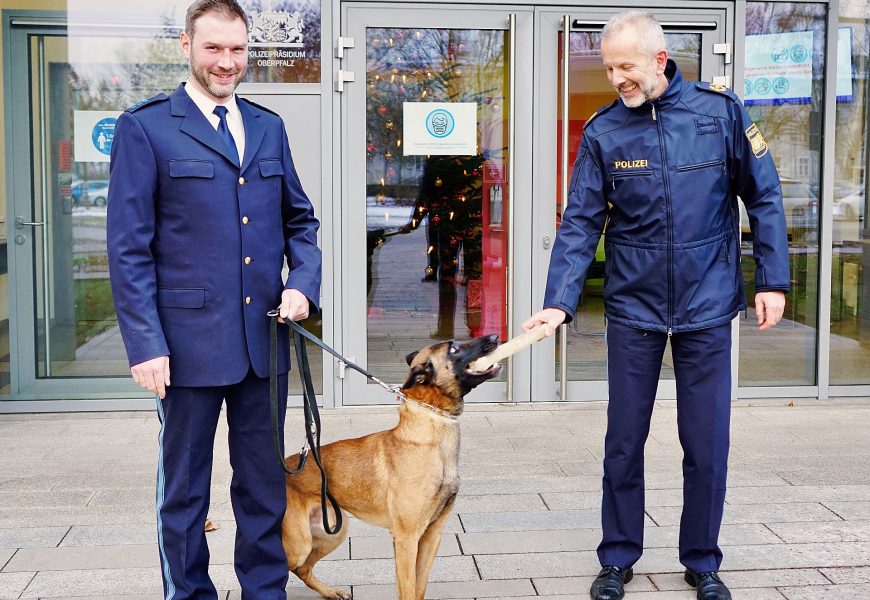 Polizeihund „Ratz“ auf Erfolgstour