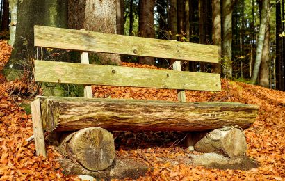 Mutwillige Beschädigung einer Parkbank in Auerbach