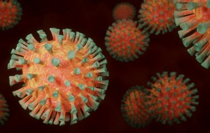 Ausbreitung des Coronavirus verlangsamt – Weniger neue COVID-19-Fälle in den vergangenen zwei Wochen