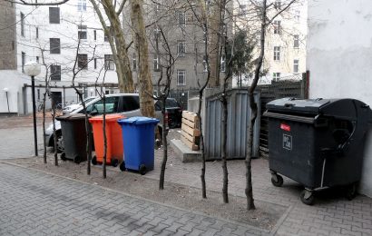 Diebstahl einer 1100 Liter Papiertonne in Tännesberg