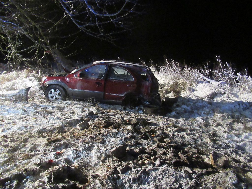 Der PKW durchbrach einen Wildzaun und touchierte einen Baum Foto: Polizei