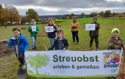 Landkreis fördert wieder nachhaltige Projekte – Bewerbungen bis 31. März einreichen