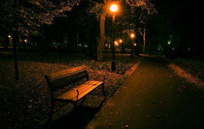 Polizei im Stadtpark präsent