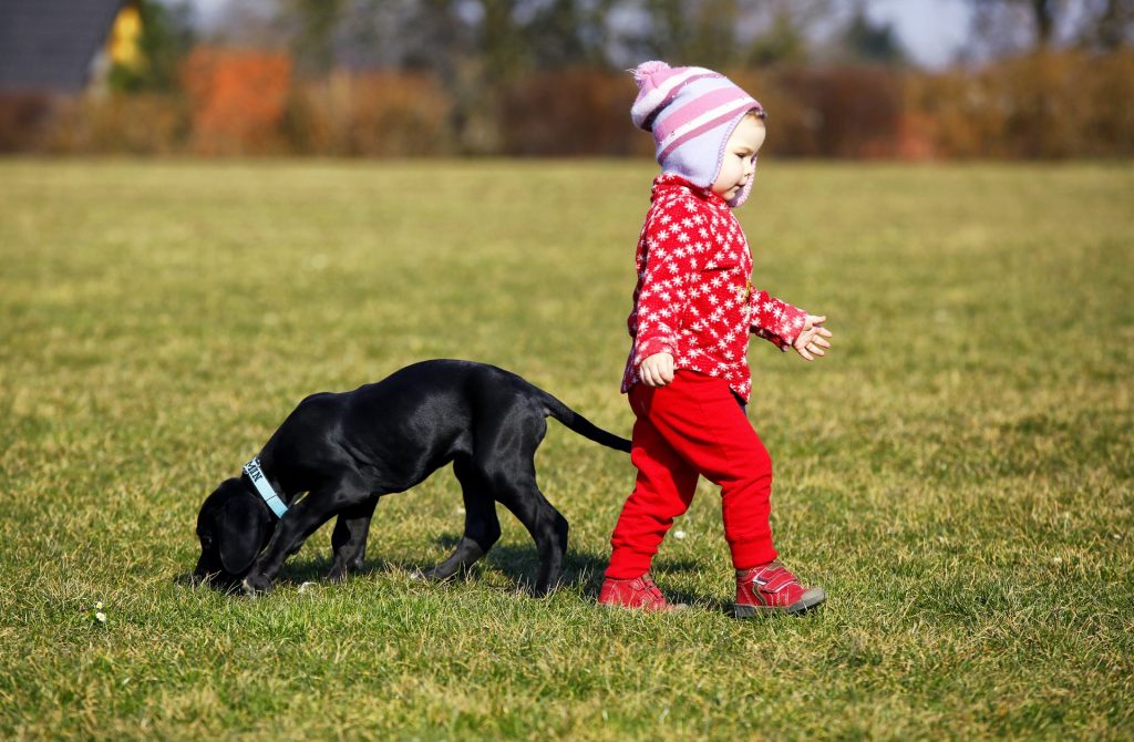 Symbolbild: Kind mit Hund