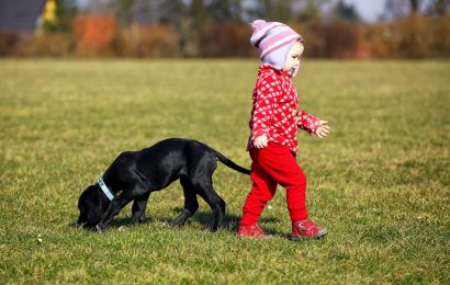 Symbolbild: Kind mit Hund