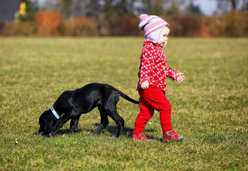 Kind durch Anspringen eines Hundes schwerverletzt