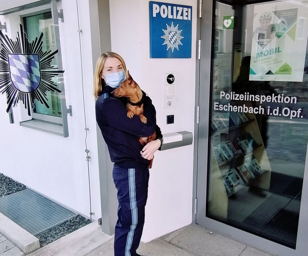 Hund "Bobby" konnte seinem Besitzer wieder übergeben werden Foto: Polizei