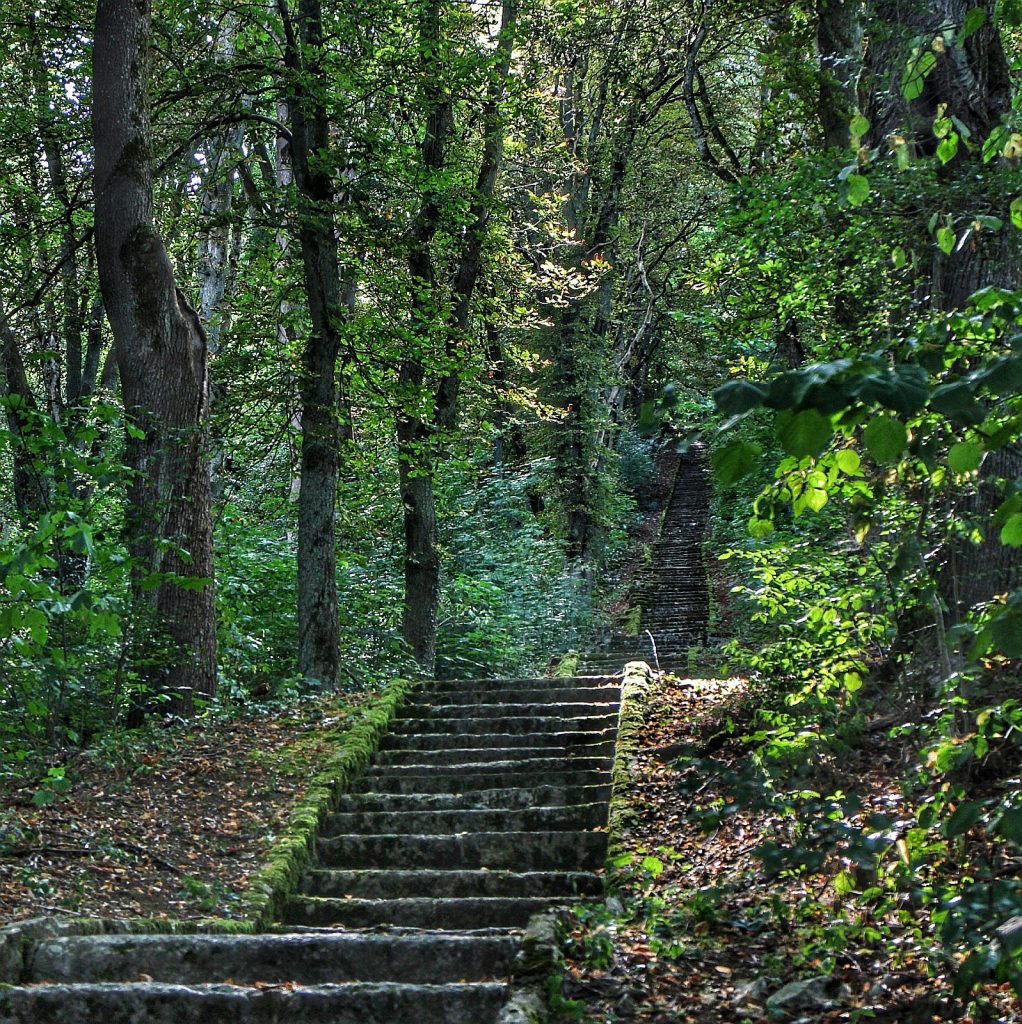 Steinerne Treppenstufen, von Moos eingerahmt, führen hinauf auf den Eggenberg in Ensdorf Foto: Regina Wolfohr