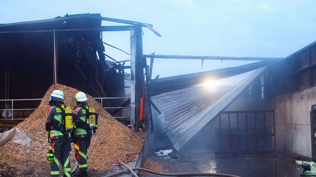 Sieben Kälber kamen bei dem Brand ums Leben Foto: © Pressedienst Wagner