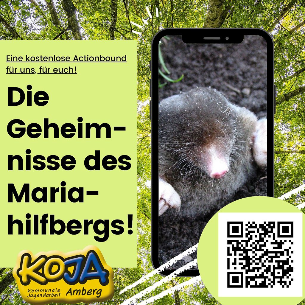 Digitale Schnitzeljagd der KoJa Amberg