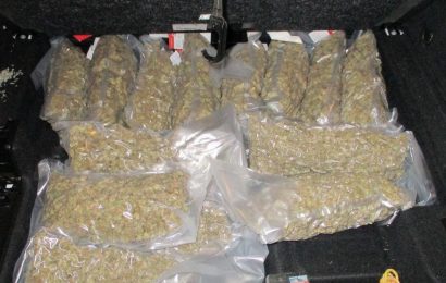 Über sieben Kilogramm Marihuana sichergestellt – Bundespolizei und Zoll in Waidhaus arbeiten Hand in Hand