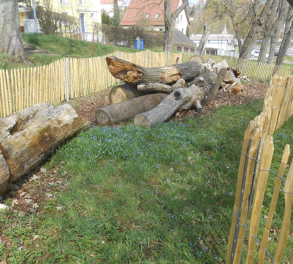 Ambergs erster Totholzgarten entsteht an der Allee Hohenburger Straße. Foto © Richard Lehmeier.