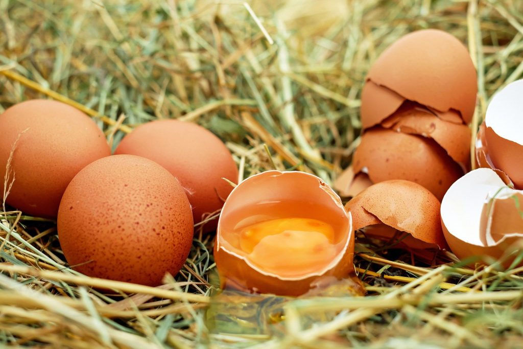 Symbolbild: Rohe Eier