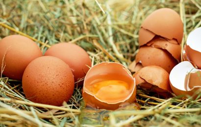 Sachbeschädigung durch rohe Eier in Teublitz