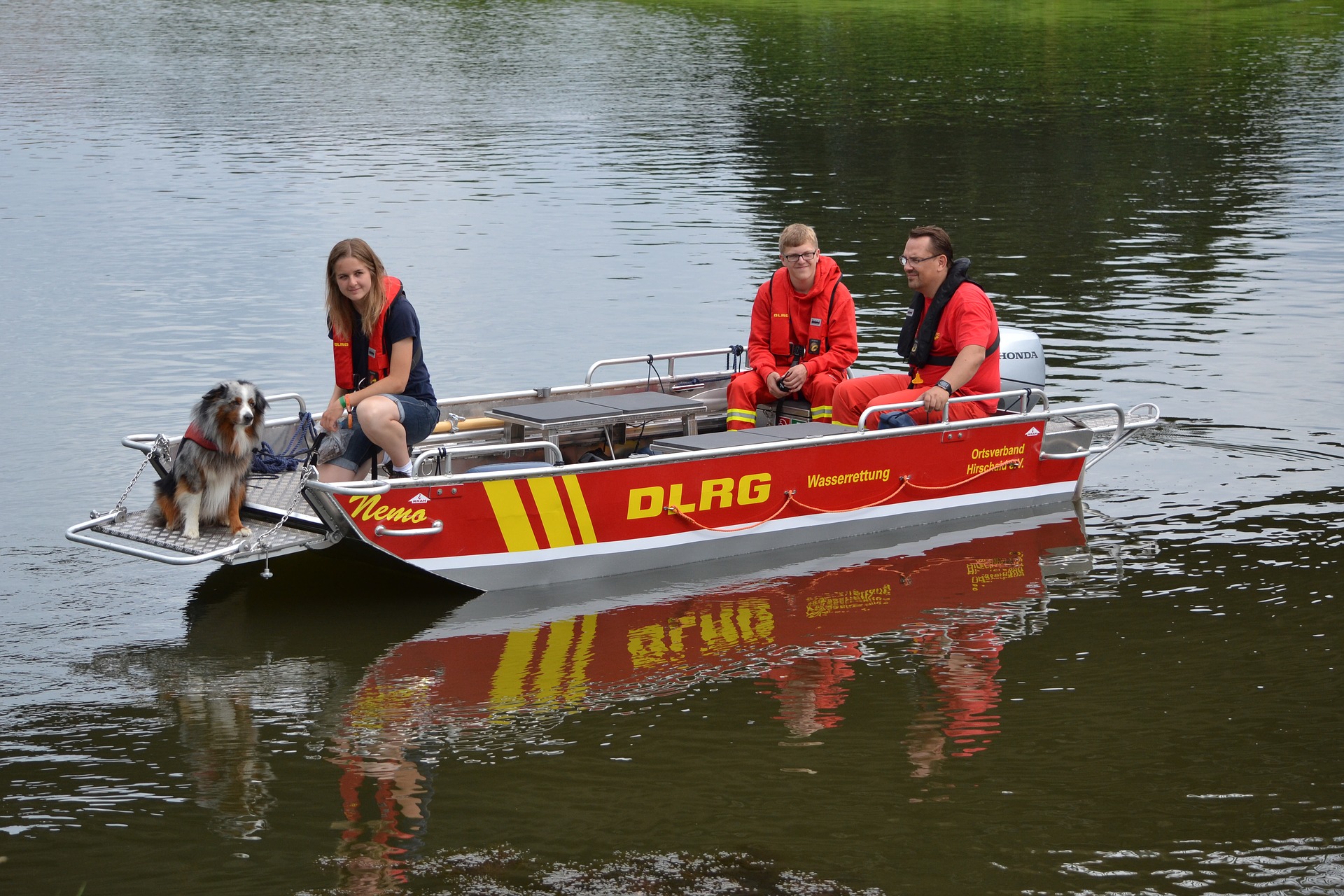 Schwimmtier sorgt für Großeinsatz