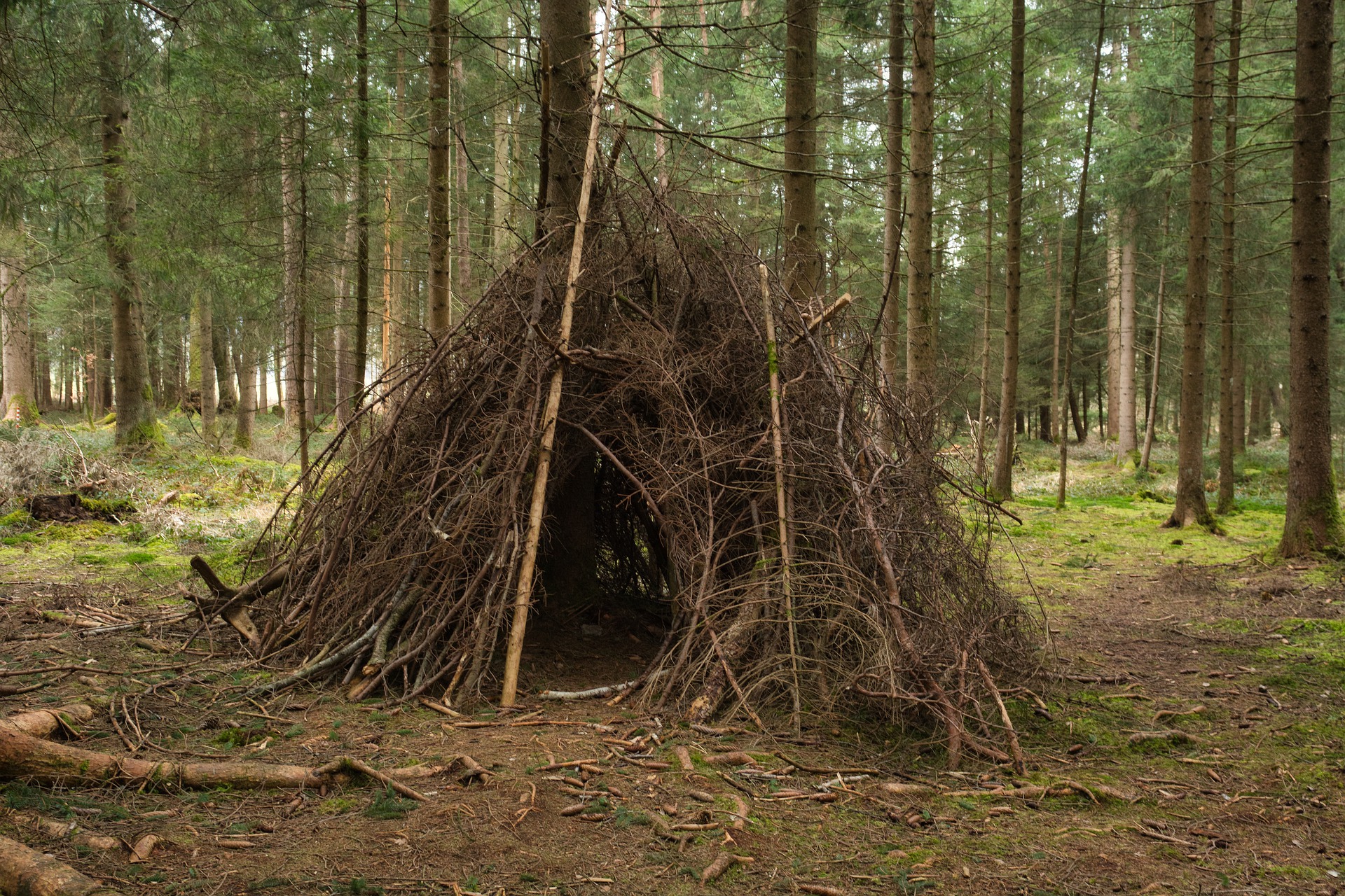 Jugendliche bauen im Wald bei Burglengenfeld eine Hütte und zündeln