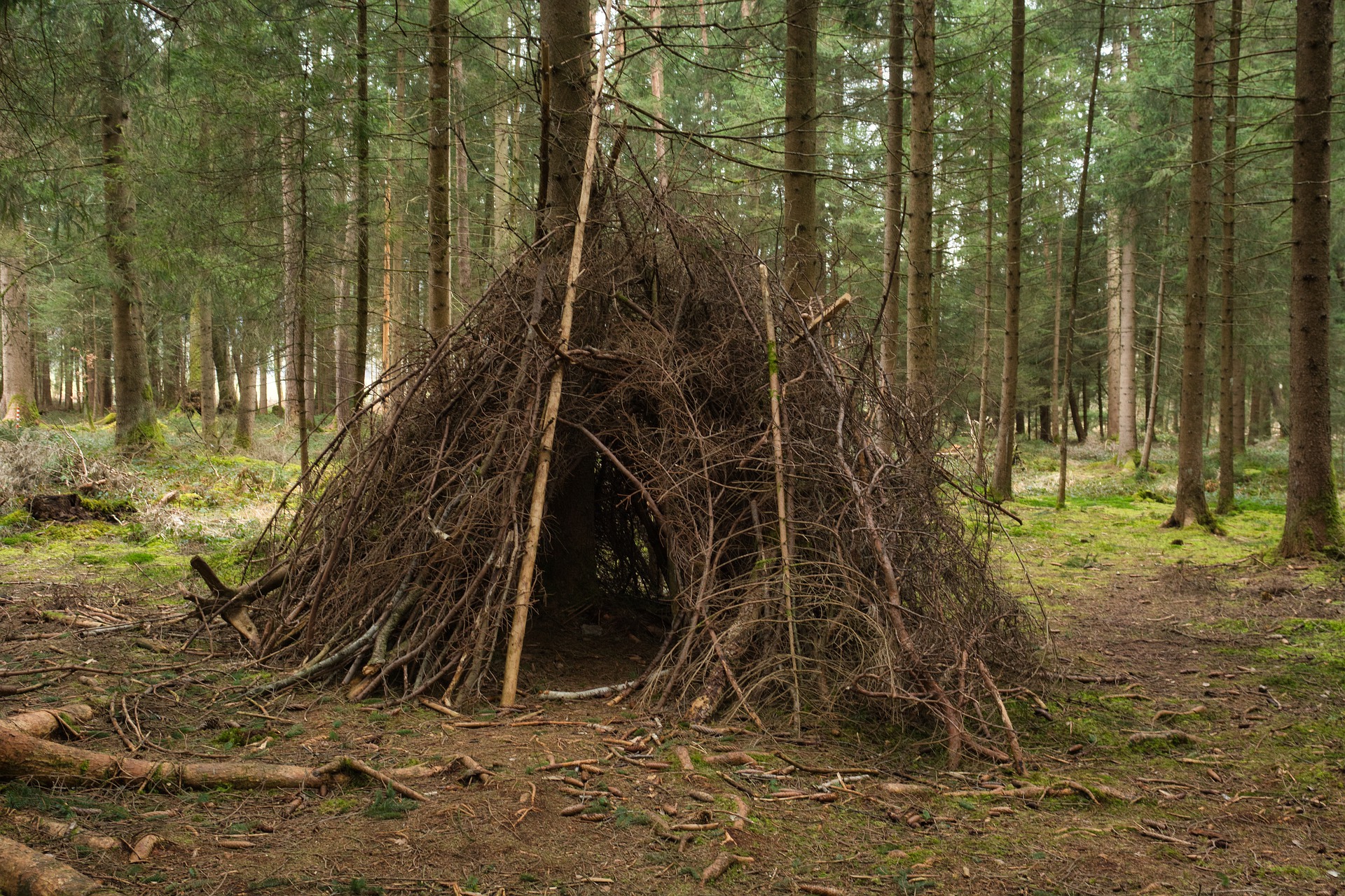 Symbolbild: Waldhütte