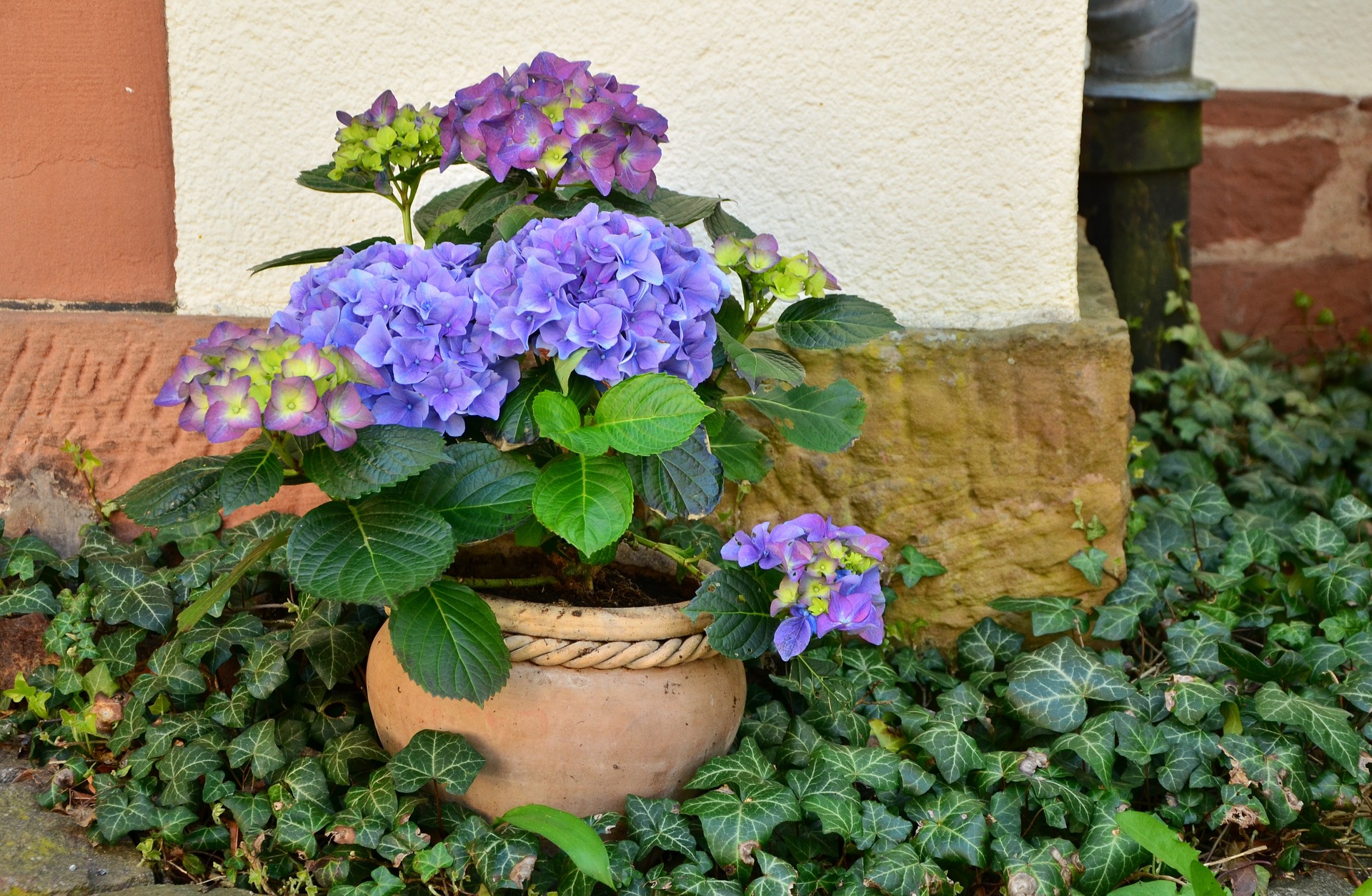 Deko- und Blumentopfdiebstahl in Schnaittenbach