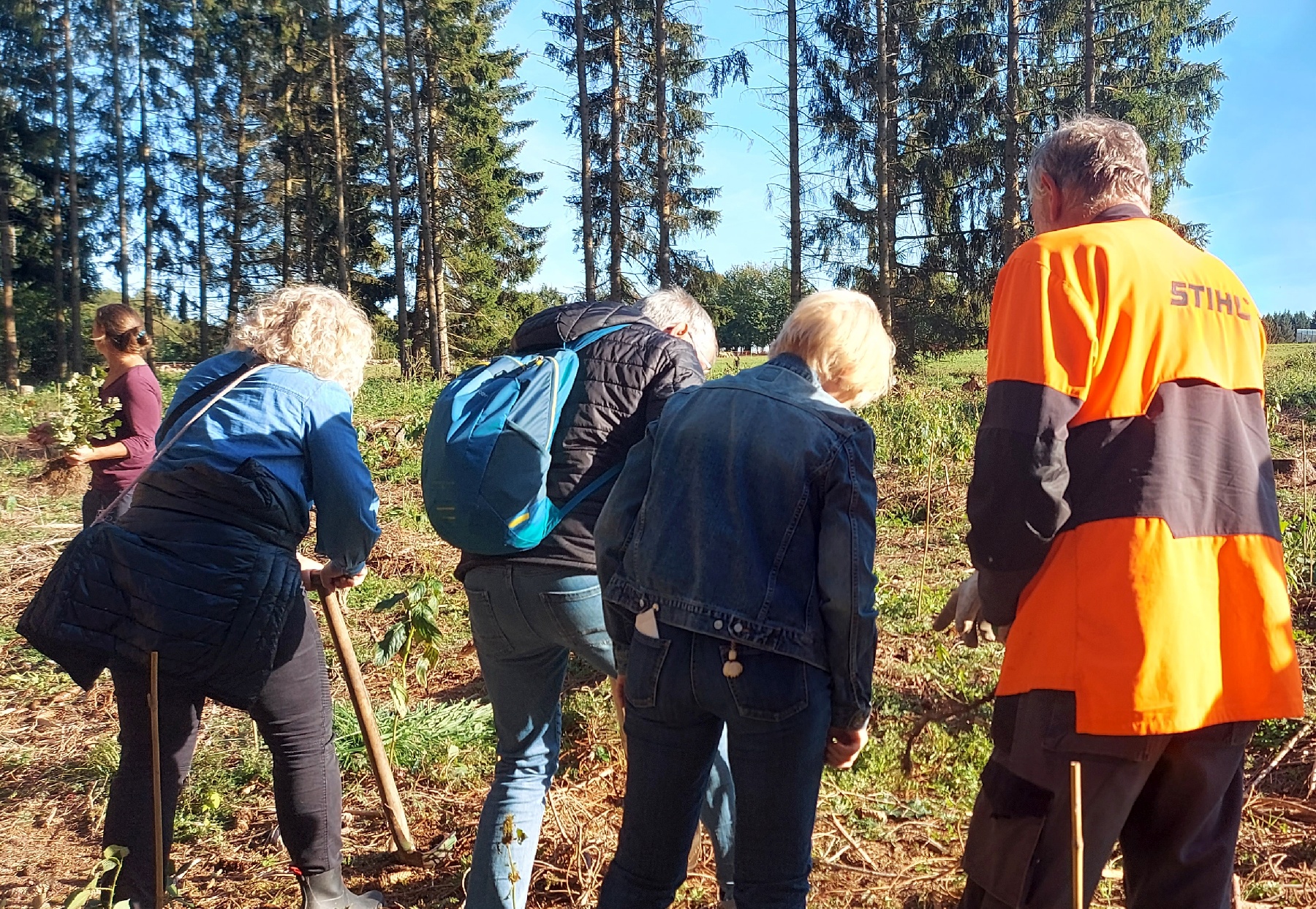 Gut gelaunt Bäume in Amberg pflanzen