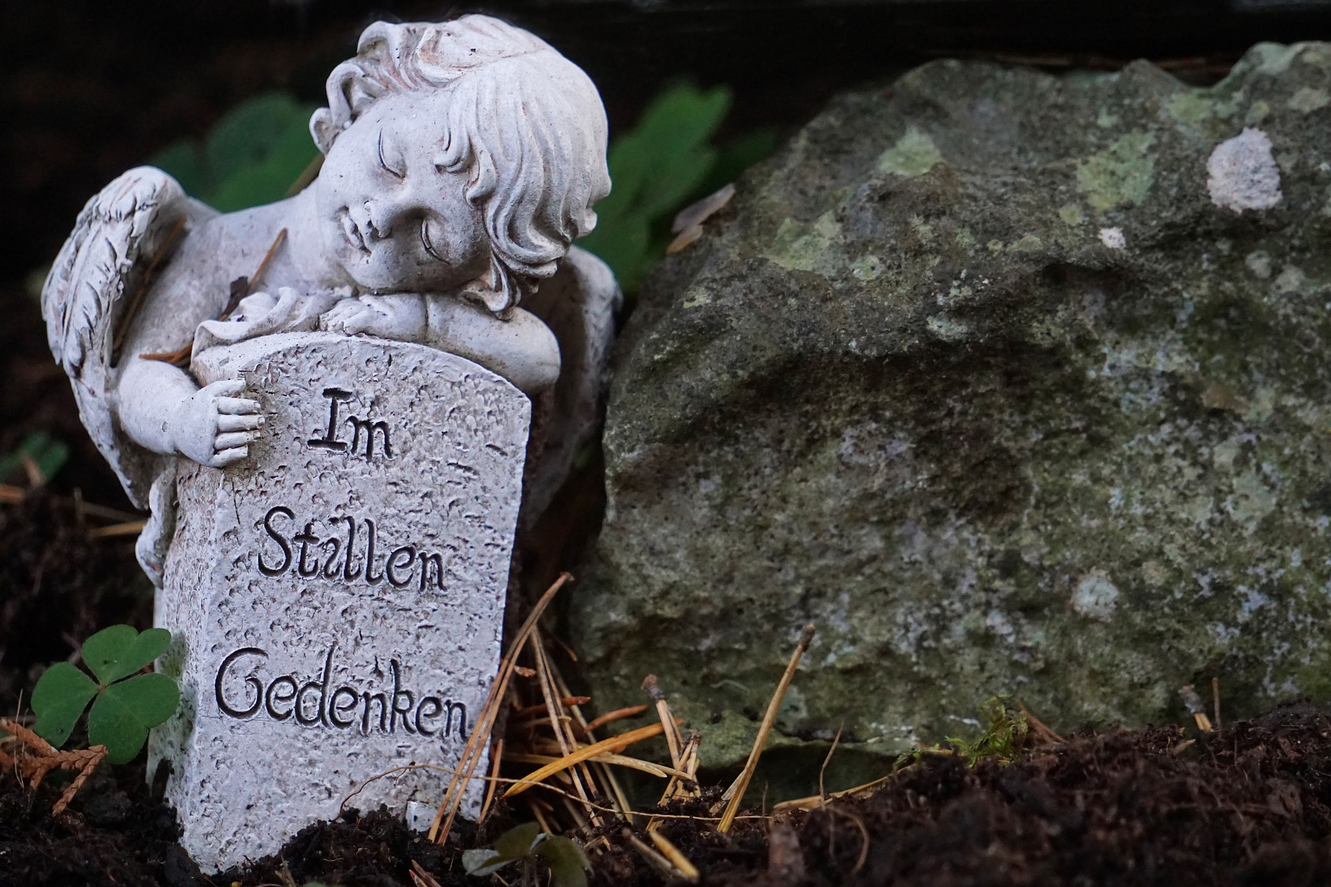 Vandalismus am Waldfriedhof – Gräber beschädigt