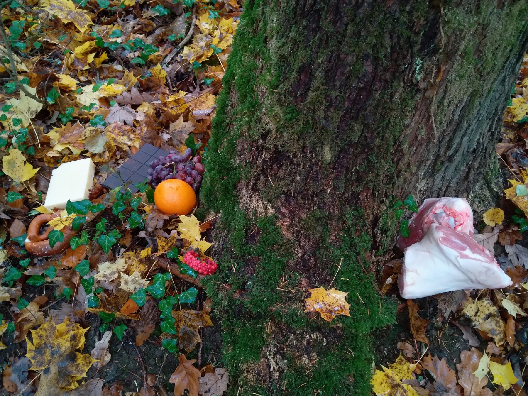 Nahrungsmittel im Wald: Müllentsorgung oder Opfergabe? Foto © Martin Seits, Stadt Amberg