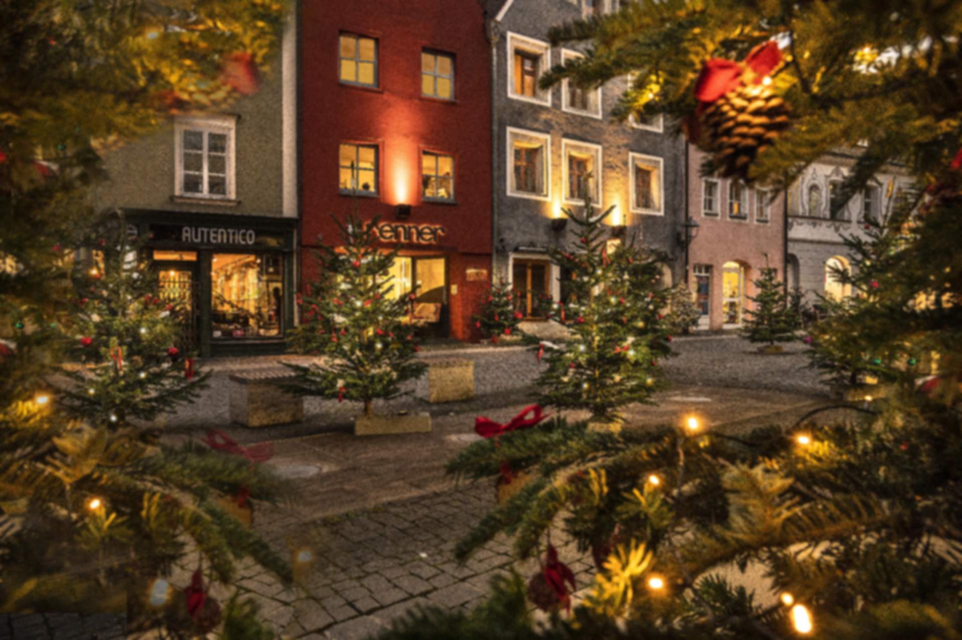 Weihnachtsbäume am Rossmarkt Foto: Michael Sommer