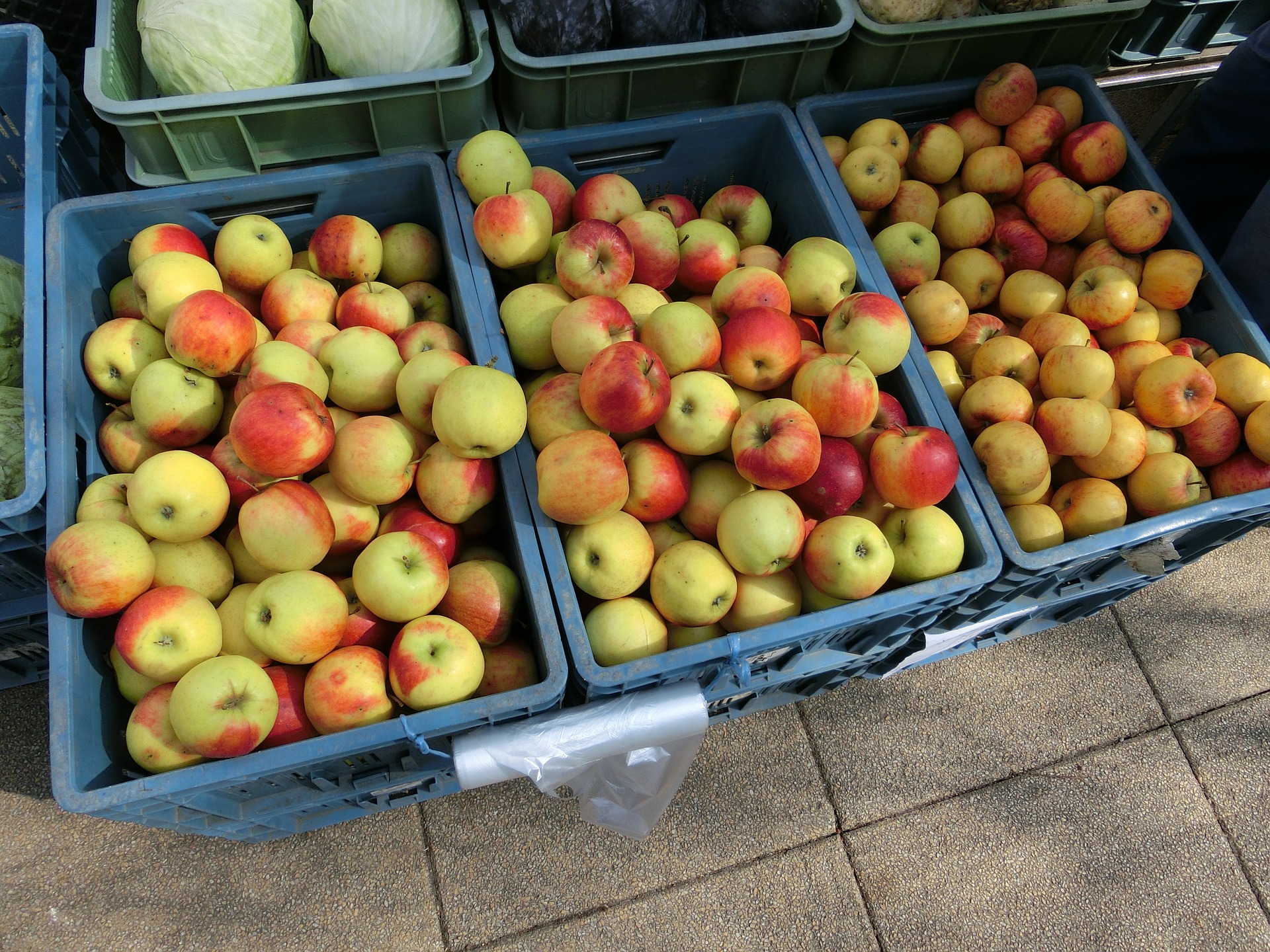 Diebstahl von ca. 500 kg Äpfel