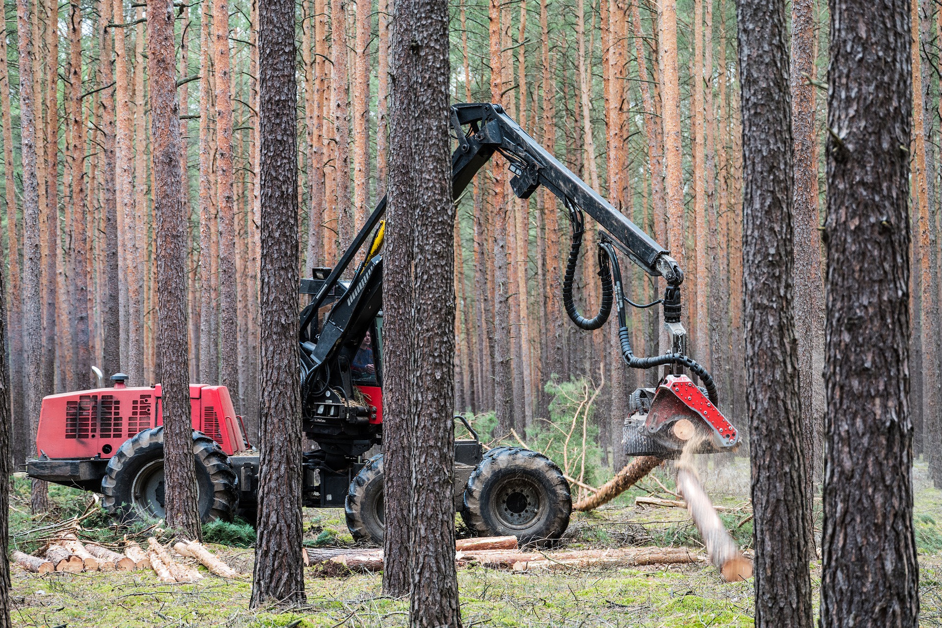 Brand eines Harvesters