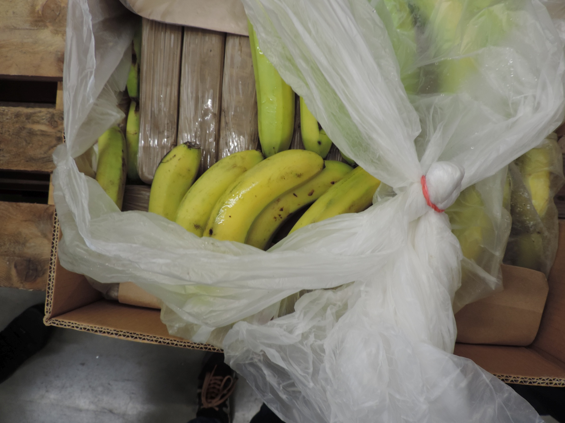 Das Kokain war in 1-Kilo-Paketen in den Bananenkisten versteckt Quelle: BLKA